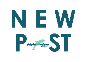 Dolphin Academy Sticker