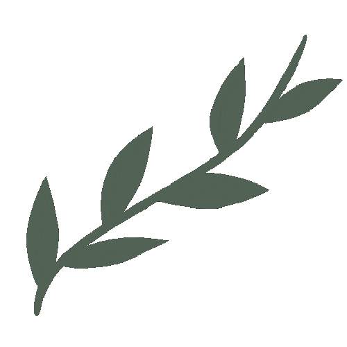 Plant Boho Sticker