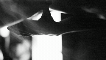 silviagrav  GIF