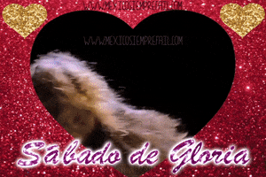 mxfail hearts glitter gloria gloria trevi GIF