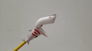 Shark Week GIF by School of Marine and Atmospheric Sciences
