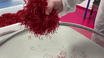 Bealar GIF
