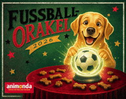 GIF by TONY Petfluencer Agency