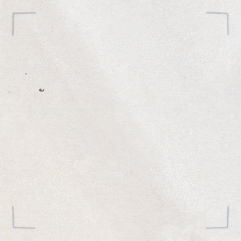 Violet Evergarden Peak GIF