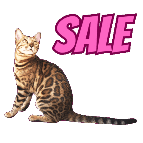 Bengal Cat Sale Sticker by Kitty Fuchs