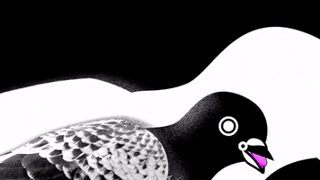 Black And White Art GIF by Kaleko