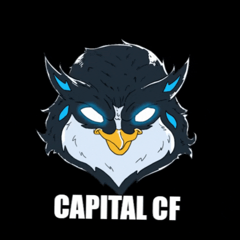 GIF by CapitalCF