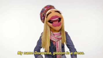 dankelly-ac86 muppets versace janice donatella GIF
