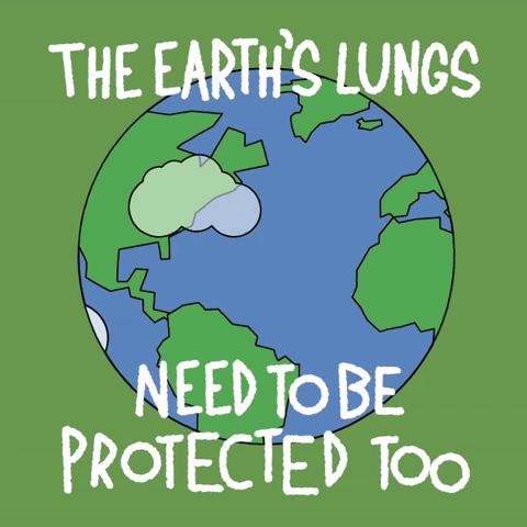 Greenpeace World Oceans Day Gif By 5minutebeachcleanup Find Share On Giphy