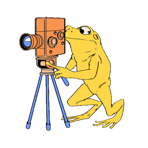 Festivalcinemajove Sticker by Cinema Jove