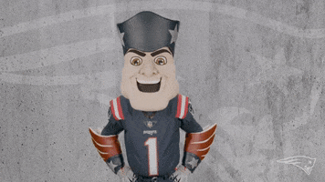 Love It Reaction GIF by New England Patriots