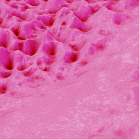 Pepto Bismol Pink GIF by xponentialdesign