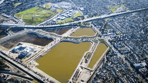 Animated GIF - Find & Share on GIPHY