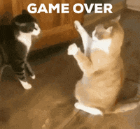 Games-over GIFs - Get the best GIF on GIPHY