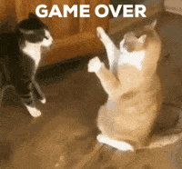 Game-over GIFs - Get the best GIF on GIPHY