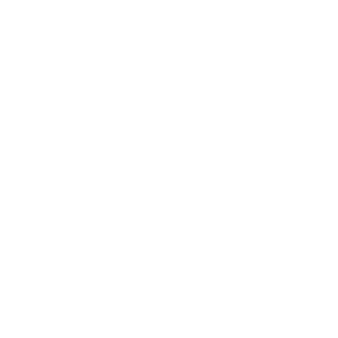 SELIN Sticker