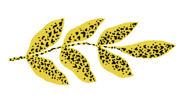 Art Illustration Sticker by IKEA Chile