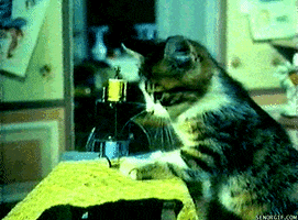 cat kitten crafts sewing