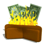 money burn GIF
