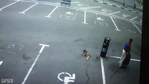 giphy.gif