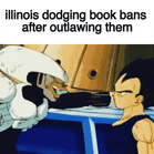 Illinois dodging book bans after outlawing them motion meme
