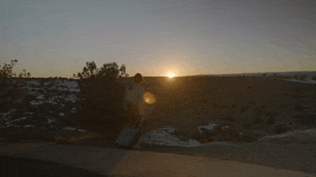 Road Trip Reaction GIF by Bay Ledges