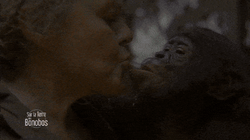 france-3 #france3tv GIF