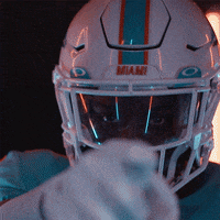 Football Come Here GIF by Miami Dolphins