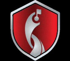 FootgolfSport GIF