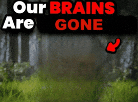 Our Brains Are GIF