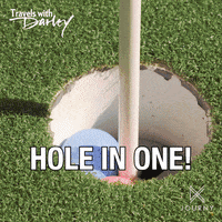 Golfing Hole In One GIF by Ovation TV