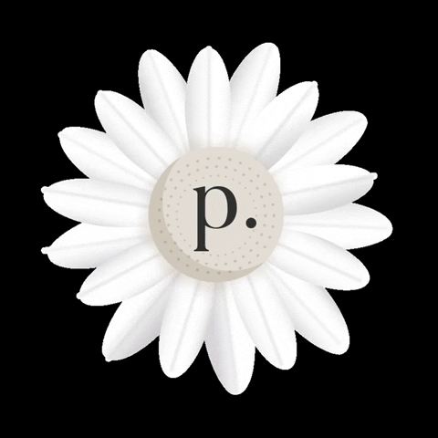 Flower Daisy GIF by Parker Talent Management