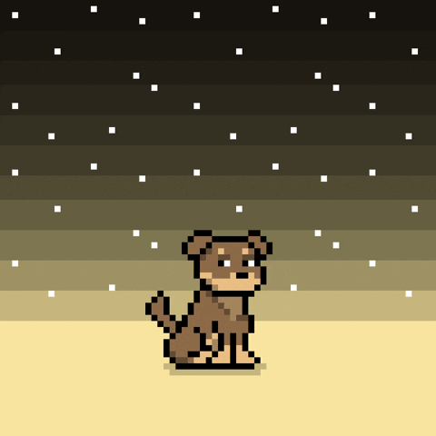 Good Vibes Stars GIF by Doginal Dogs