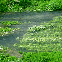 water 2d animation waterfall water gif 3d animation water 2d animation ...