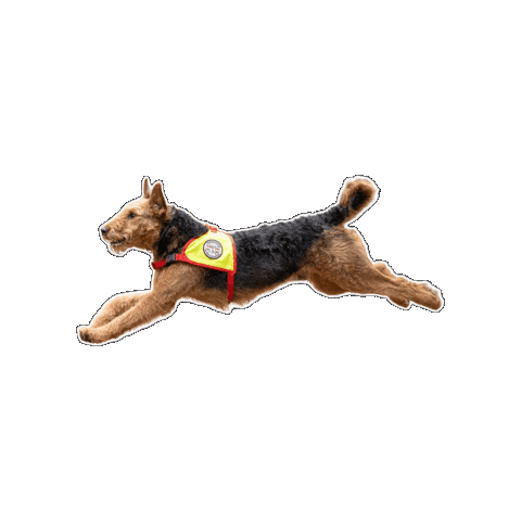 Rettungshund Sticker by Österreichische Rettungshundebrigade