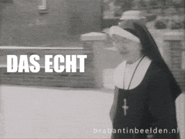 Brabants GIF by BrabantinBeelden
