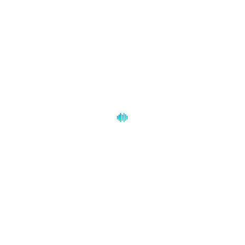 Apex AV Security Sticker