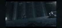 Fight GIF