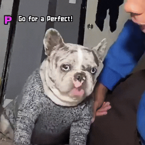 Hell Naw Dog GIF