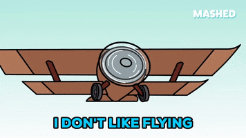 Flying Air Travel GIF by Mashed