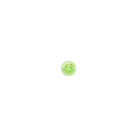 alpix.ro - FOTO/VIDEO/DESIGN Sticker