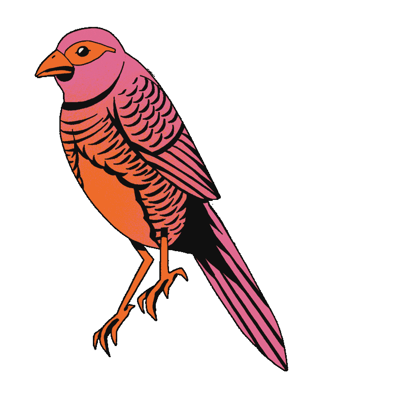 Francofolies de la Réunion Sticker