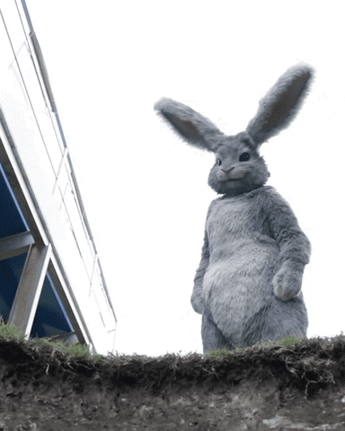 Rabbit Creepy Wave GIF by Tubi