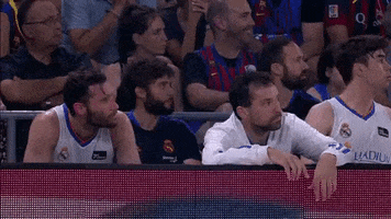 Real Madrid Celebration GIF by ACB