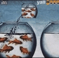 Fish Tank Gold GIF