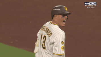 Yelling San Diego Padres GIF by MLB