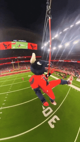 Houston Texans GIF