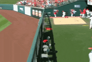 Baseball GIF