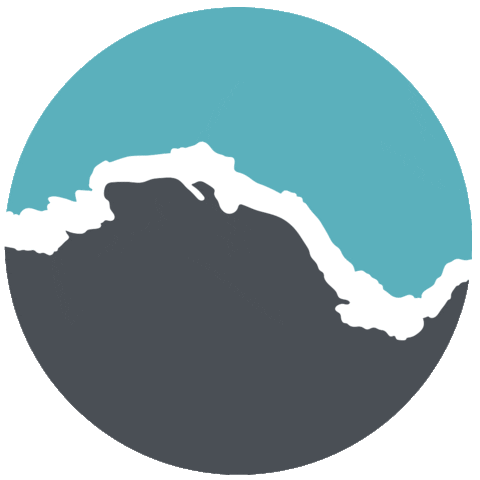 Flow Health & Performance Sticker