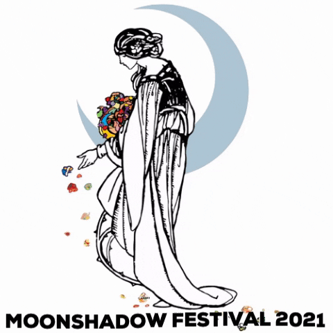 Moonshadow Festival GIF